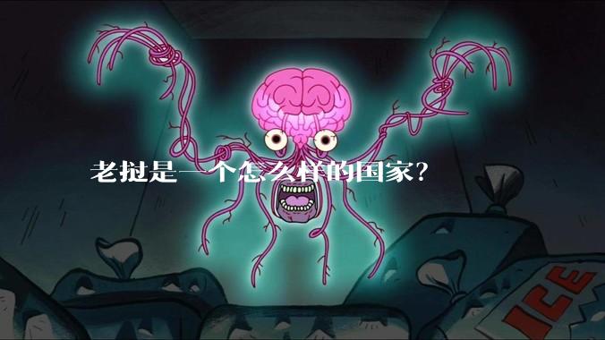老挝是一个怎么样的国家？