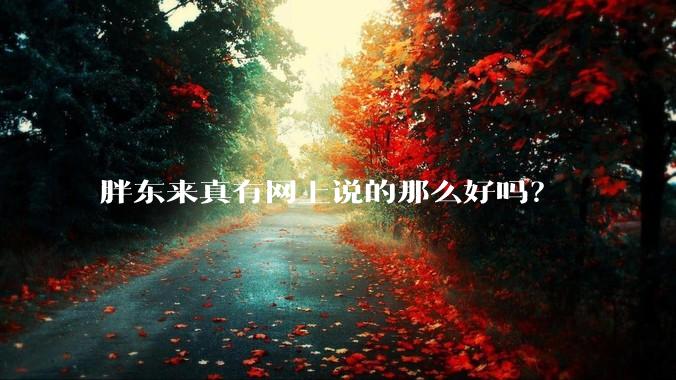 胖东来真有网上说的那么好吗？