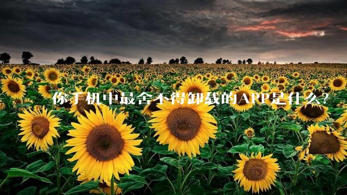 你手机中最舍不得卸载的APP是什么？