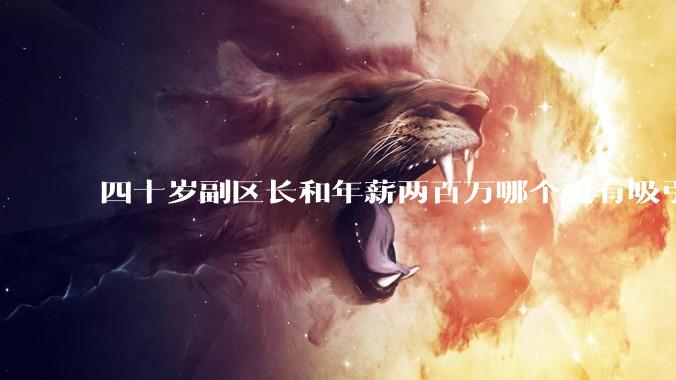 四十岁副区长和年薪两百万哪个更有吸引力？
