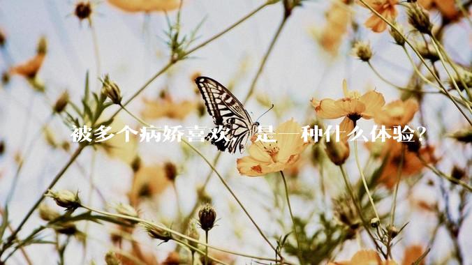 被多个病娇喜欢，是一种什么体验？